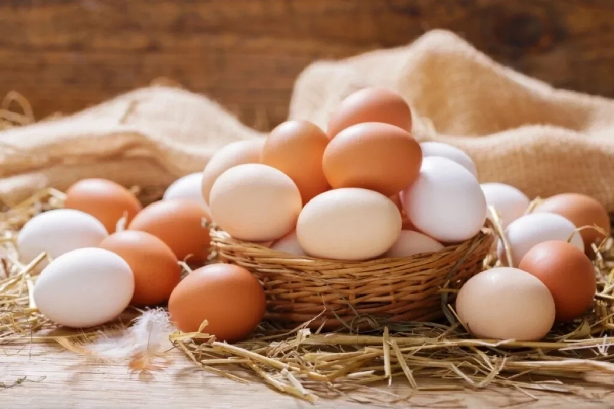 Egg Basket